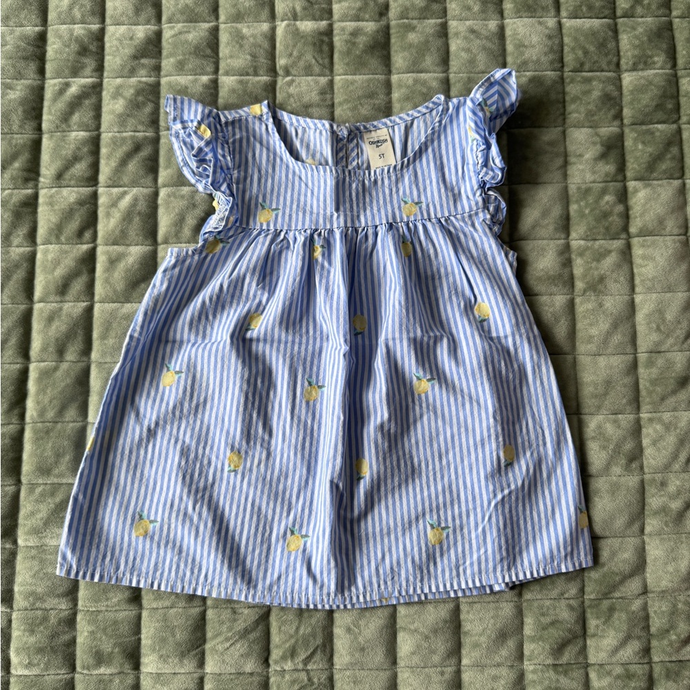 Blue & White Striped Lemon Print Top